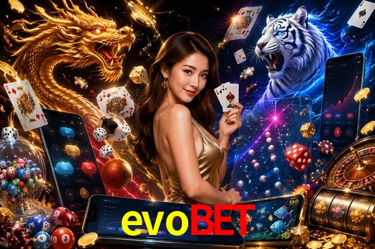 Sports Statistics evobet